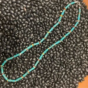 NA made orange spiny and turquoise necklace